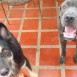 renzo  y lucky :D:D:D